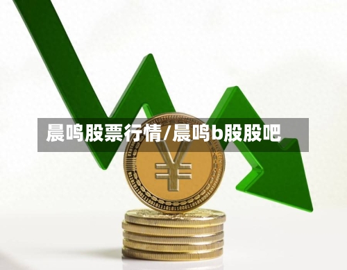 晨鸣股票行情/晨鸣b股股吧