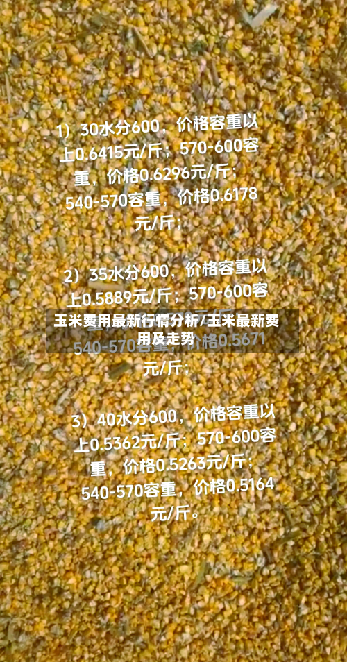 玉米费用最新行情分析/玉米最新费用及走势-第2张图片