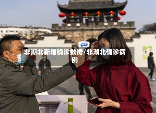 非湖北新增确诊数据/非湖北确诊病例-第3张图片