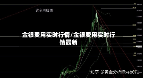 金银费用实时行情/金银费用实时行情最新-第2张图片