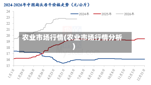 农业市场行情(农业市场行情分析)