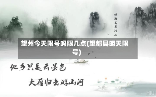 望州今天限号吗限几点(望都县明天限号)-第2张图片