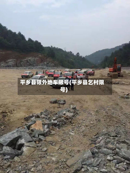 平乡县限外地车限号(平乡县乞村限号)-第2张图片