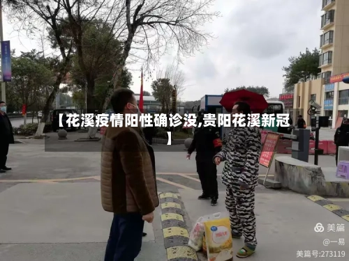 【花溪疫情阳性确诊没,贵阳花溪新冠】