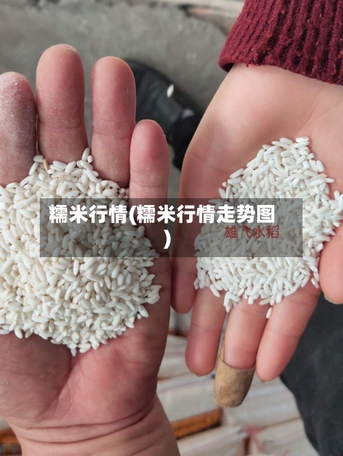 糯米行情(糯米行情走势图)
