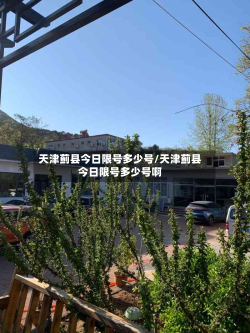 天津蓟县今日限号多少号/天津蓟县今日限号多少号啊-第2张图片