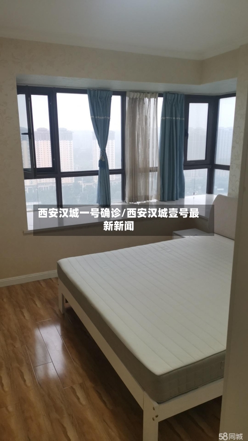 西安汉城一号确诊/西安汉城壹号最新新闻-第2张图片