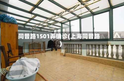 同普路1501弄确诊(上海同普路)-第2张图片