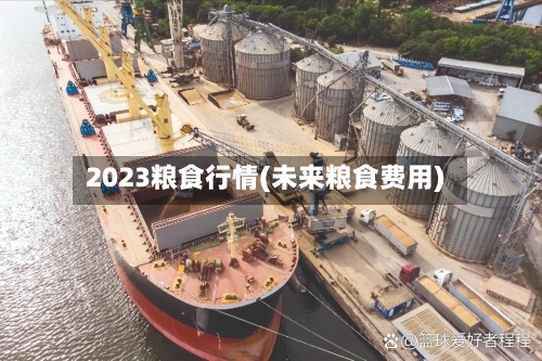 2023粮食行情(未来粮食费用)