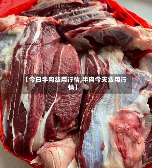 【今日牛肉费用行情,牛肉今天费用行情】