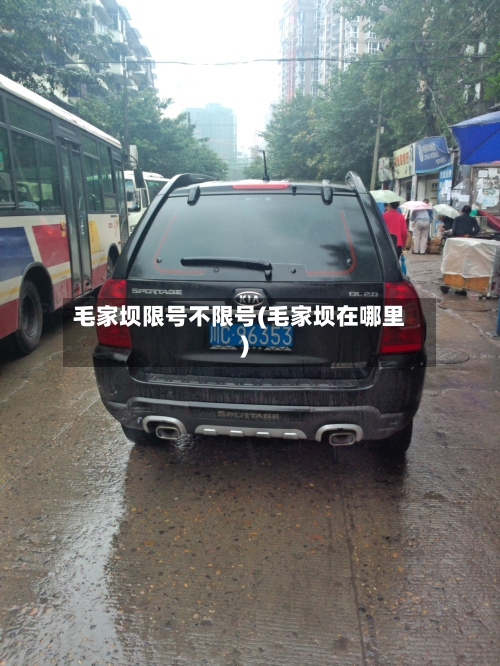 毛家坝限号不限号(毛家坝在哪里)