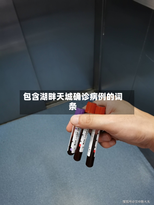 包含湖畔天城确诊病例的词条