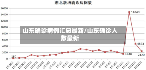山东确诊病例汇总最新/山东确诊人数最新-第3张图片