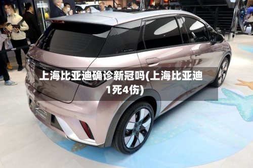 上海比亚迪确诊新冠吗(上海比亚迪1死4伤)-第3张图片