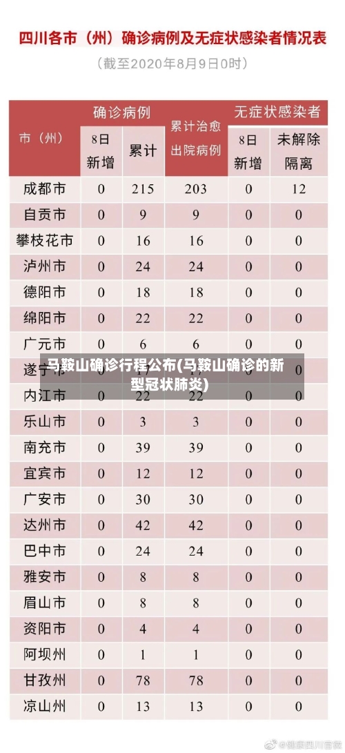 马鞍山确诊行程公布(马鞍山确诊的新型冠状肺炎)-第2张图片
