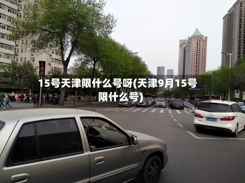15号天津限什么号呀(天津9月15号限什么号)-第2张图片