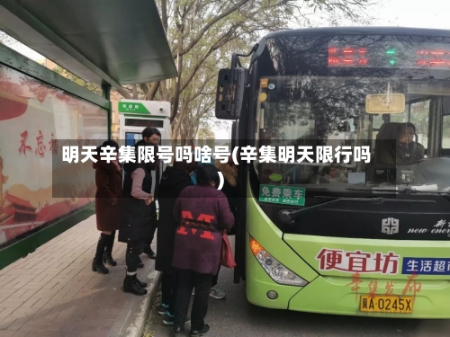 明天辛集限号吗啥号(辛集明天限行吗)