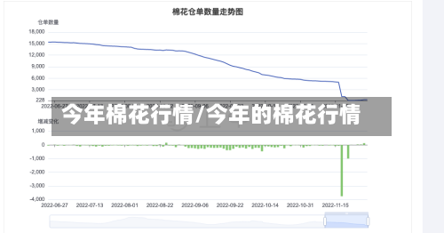 今年棉花行情/今年的棉花行情