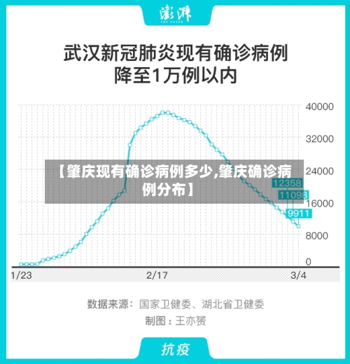 【肇庆现有确诊病例多少,肇庆确诊病例分布】