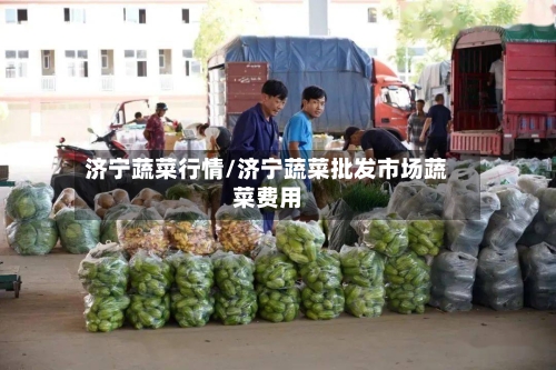 济宁蔬菜行情/济宁蔬菜批发市场蔬菜费用