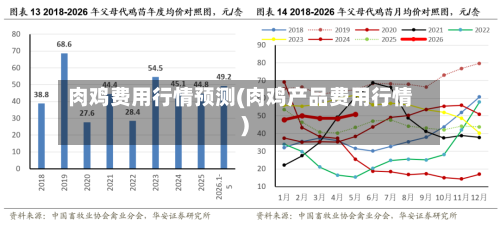 肉鸡费用行情预测(肉鸡产品费用行情)-第2张图片