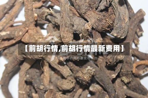 【前胡行情,前胡行情最新费用】