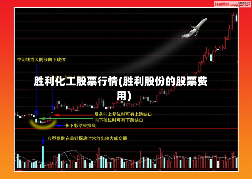 胜利化工股票行情(胜利股份的股票费用)-第2张图片