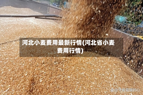 河北小麦费用最新行情(河北省小麦费用行情)
