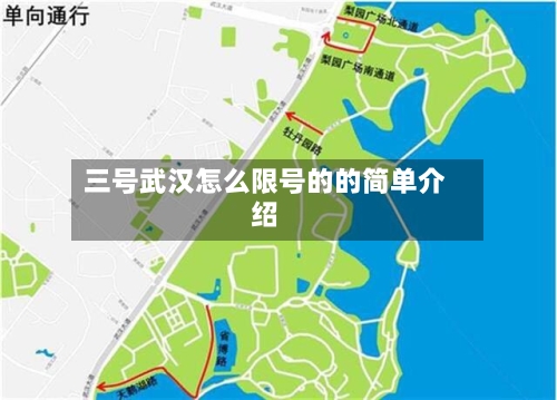 三号武汉怎么限号的的简单介绍