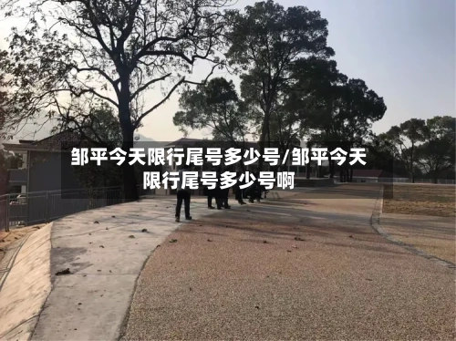 邹平今天限行尾号多少号/邹平今天限行尾号多少号啊