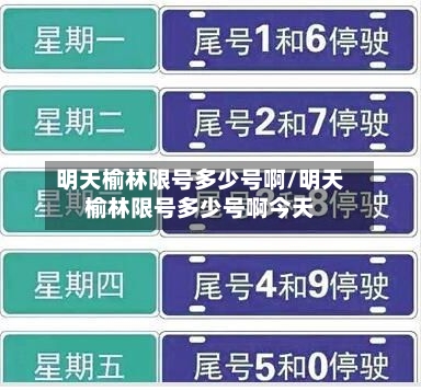 明天榆林限号多少号啊/明天榆林限号多少号啊今天