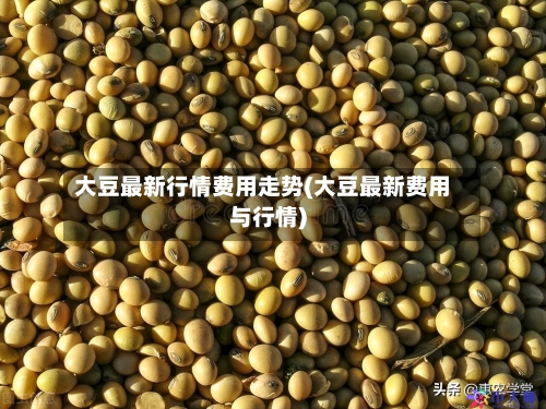 大豆最新行情费用走势(大豆最新费用与行情)