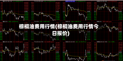 棕榈油费用行情(棕榈油费用行情今日报价)
