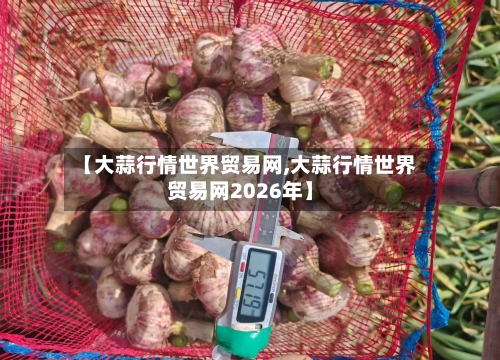 【大蒜行情世界贸易网,大蒜行情世界贸易网2026年】