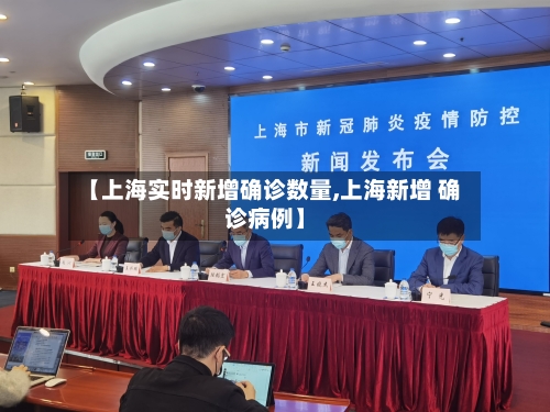 【上海实时新增确诊数量,上海新增 确诊病例】-第3张图片