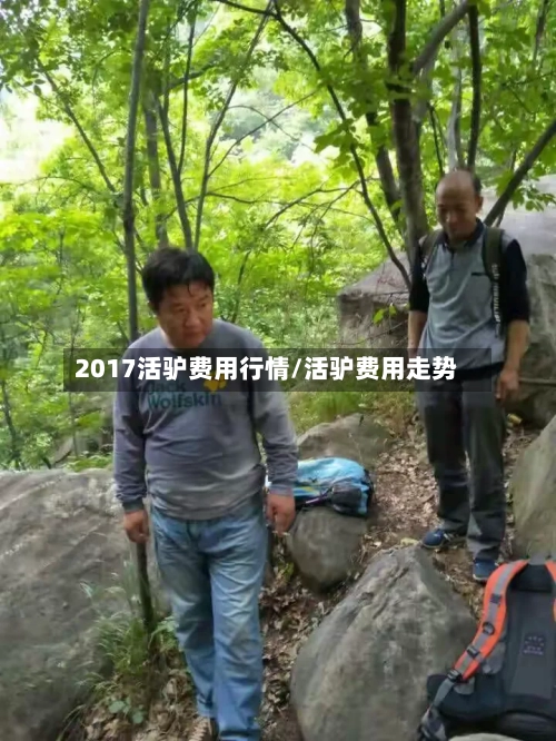 2017活驴费用行情/活驴费用走势