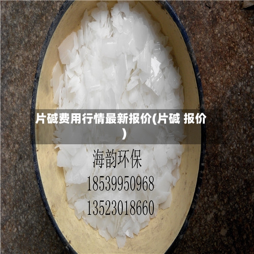 片碱费用行情最新报价(片碱 报价)