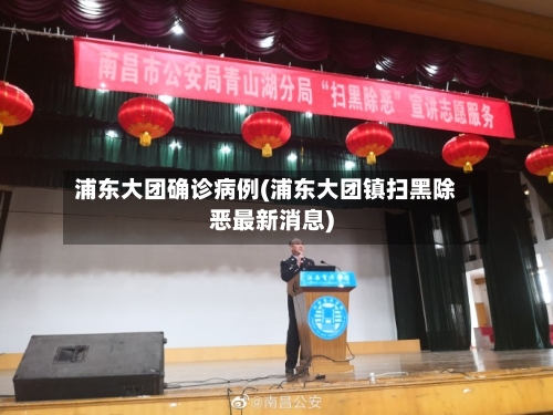 浦东大团确诊病例(浦东大团镇扫黑除恶最新消息)-第3张图片