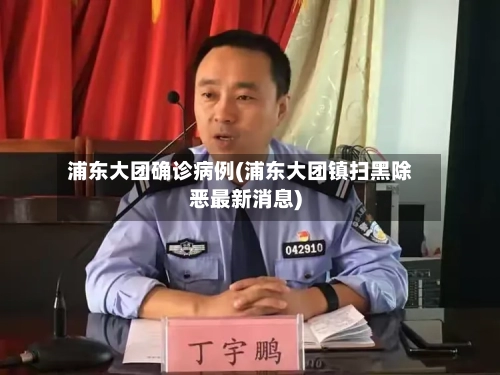 浦东大团确诊病例(浦东大团镇扫黑除恶最新消息)-第2张图片