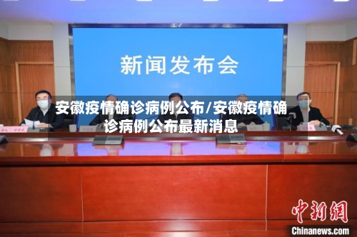 安徽疫情确诊病例公布/安徽疫情确诊病例公布最新消息-第2张图片