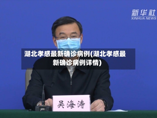 湖北孝感最新确诊病例(湖北孝感最新确诊病例详情)-第2张图片
