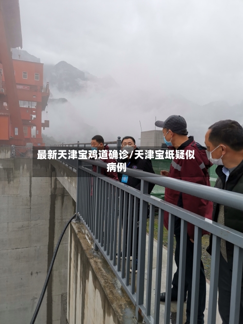最新天津宝鸡道确诊/天津宝坻疑似病例