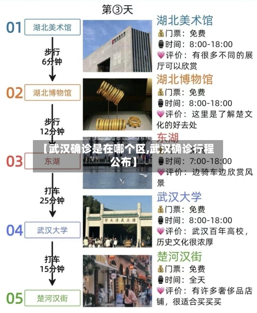【武汉确诊是在哪个区,武汉确诊行程公布】