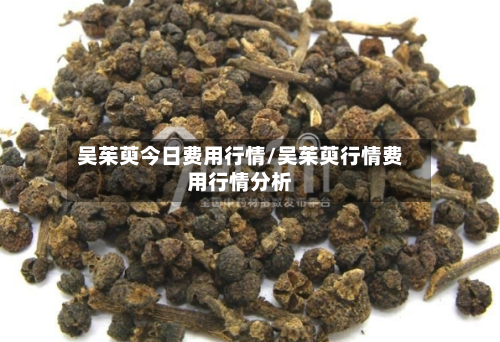 吴茱萸今日费用行情/吴茱萸行情费用行情分析-第2张图片