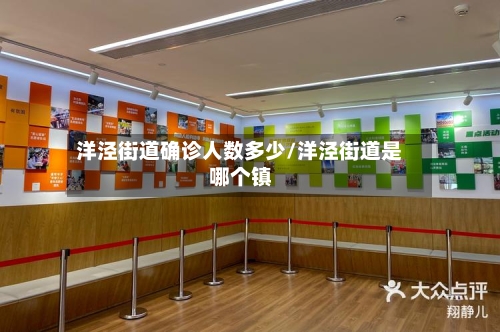 洋泾街道确诊人数多少/洋泾街道是哪个镇-第3张图片
