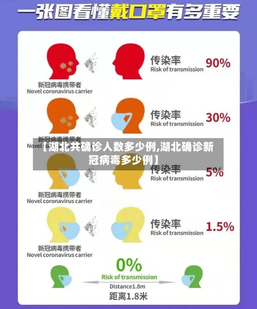【湖北共确诊人数多少例,湖北确诊新冠病毒多少例】