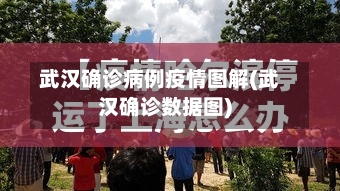 武汉确诊病例疫情图解(武汉确诊数据图)-第2张图片
