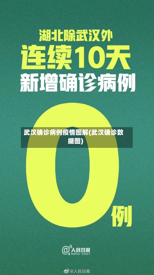 武汉确诊病例疫情图解(武汉确诊数据图)