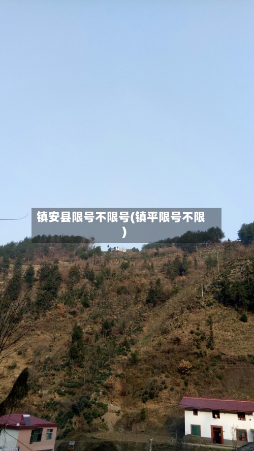 镇安县限号不限号(镇平限号不限)-第3张图片
