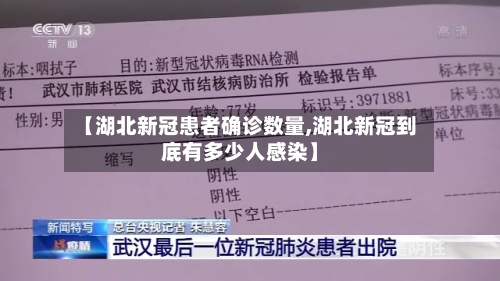 【湖北新冠患者确诊数量,湖北新冠到底有多少人感染】